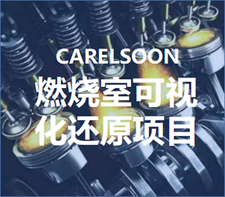 燃烧室可视化还原项目