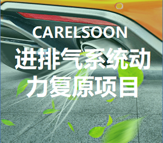 汽车动力复原项目